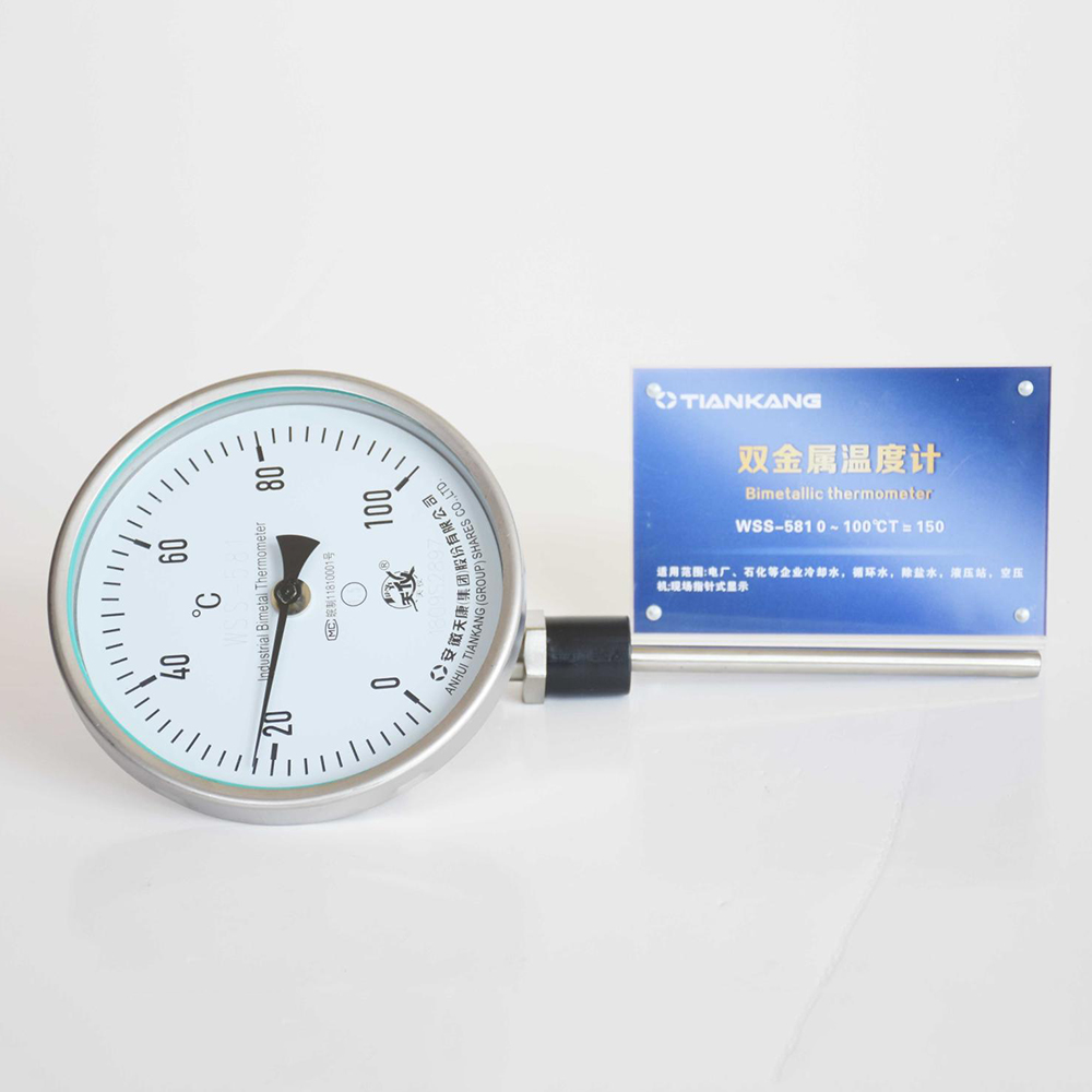 双金属温度计