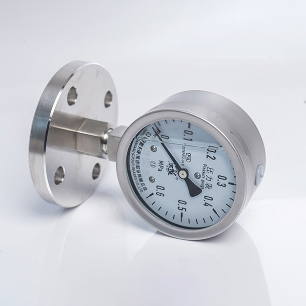 法兰式隔膜压力表